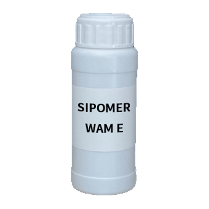 【样品】SIPOMER WAM E _ _